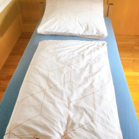 Wohnung Mit Stil Тройсдорф Екстериор снимка